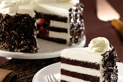 Sponge Mix Chocolate Coastal