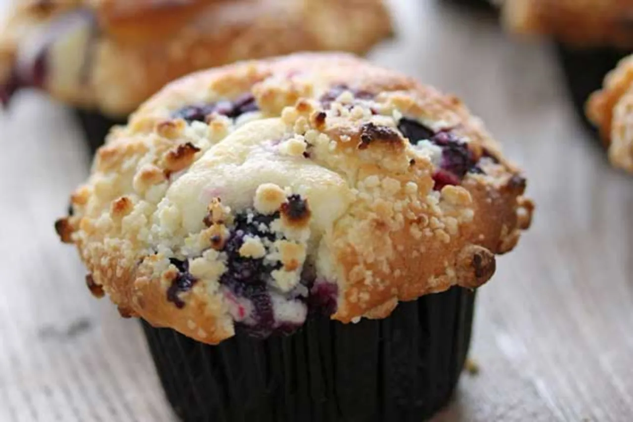 Blueberry Muffins - Puratos