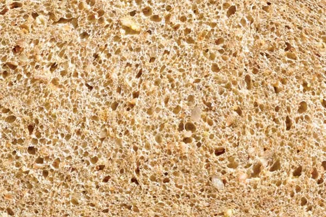 Bread Crumbs Pork Seasoned - Puratos