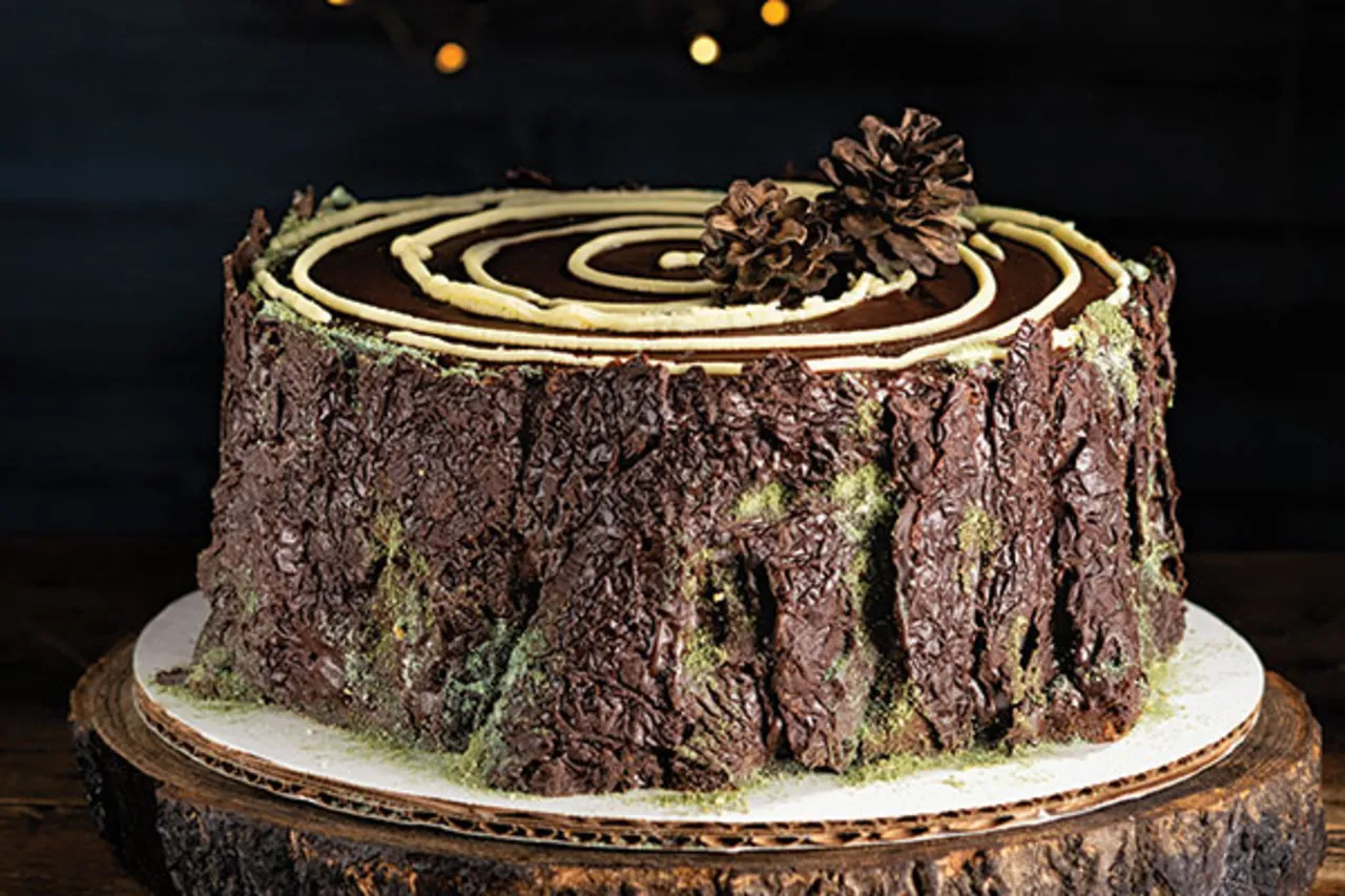 Christmas Log - Puratos