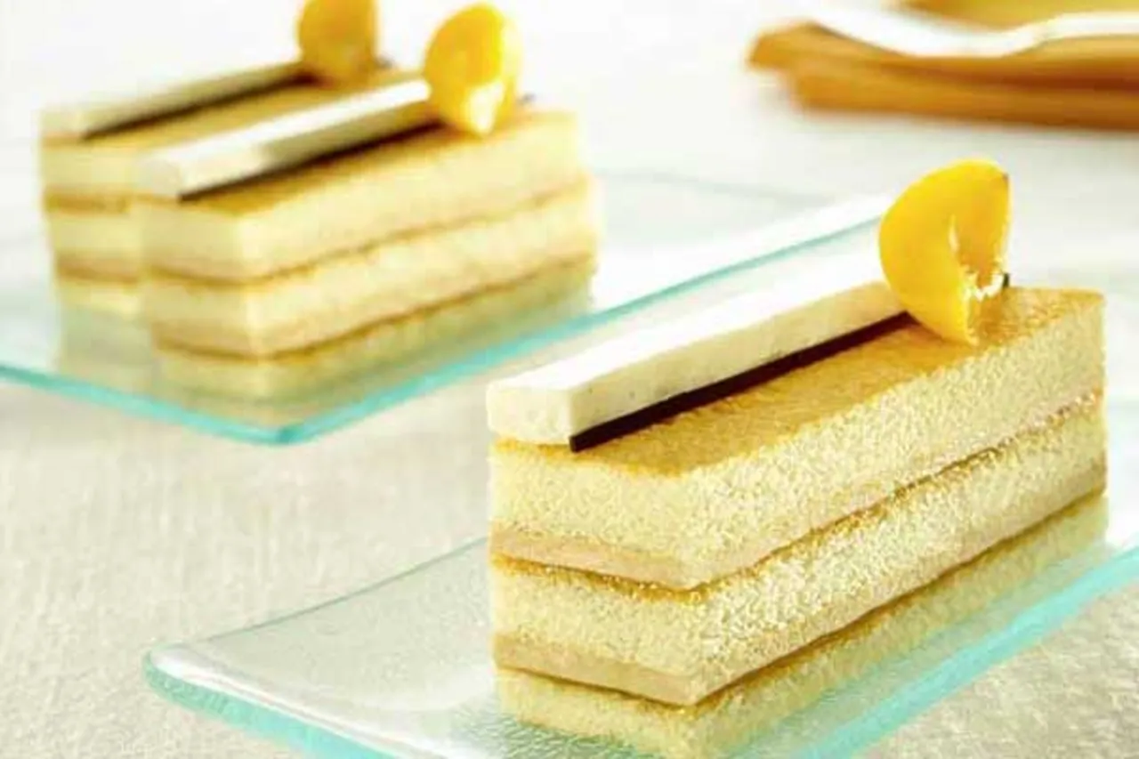 Mac Sponge - Puratos