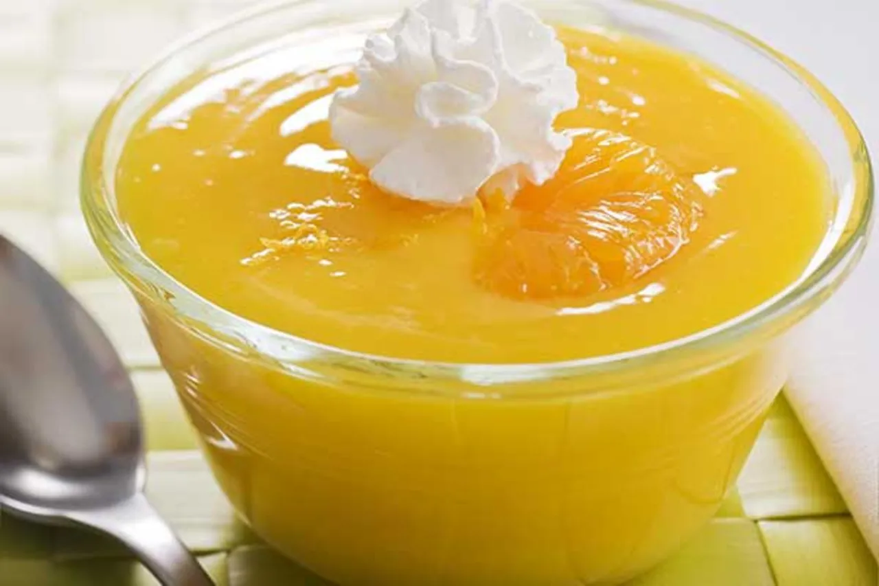 Orange Pudding - Puratos