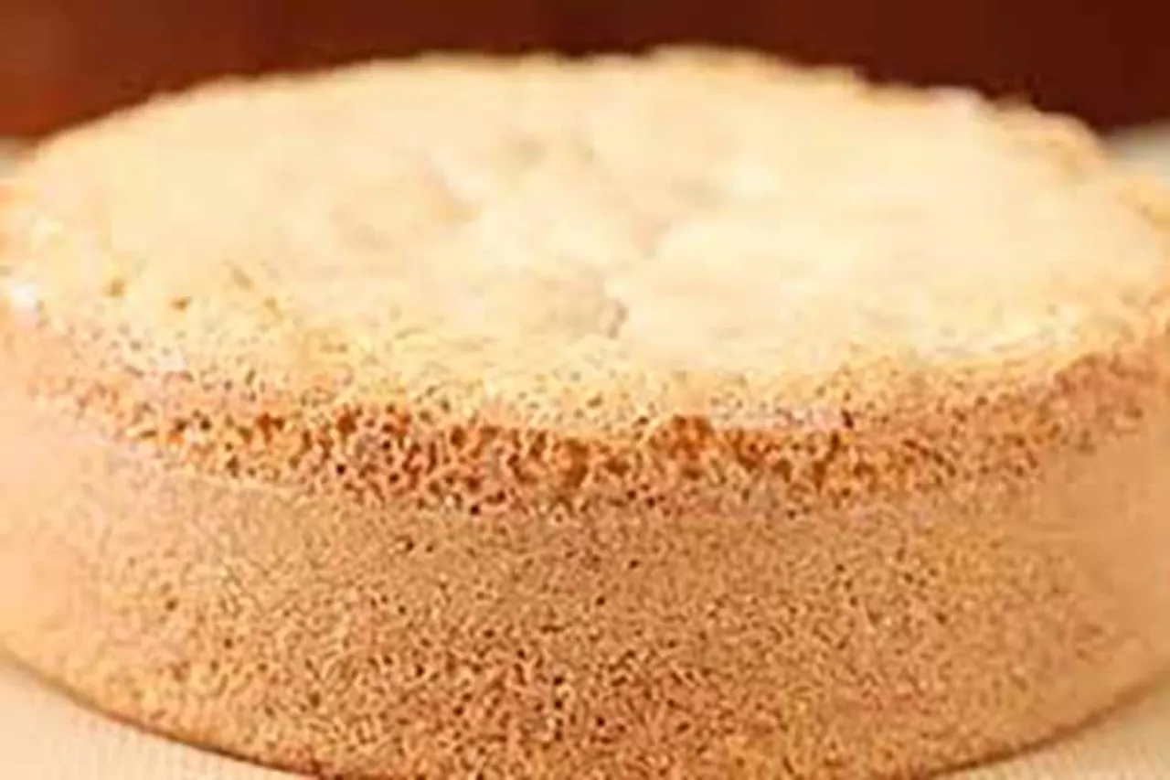 Trifle Sponge - Puratos