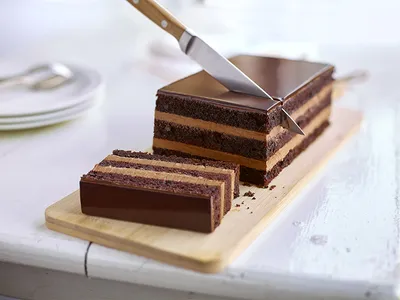 Tegral Satin Chocolate Cream Cake
